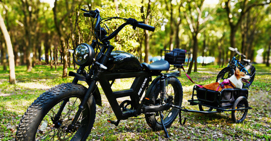 A Trailer Makes Your Ebike Complete