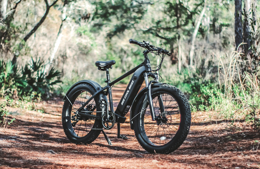 Where To Ride In Canada With Your E-bikes